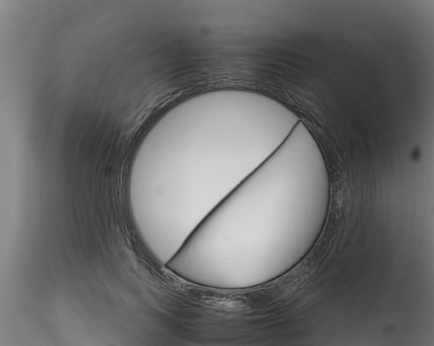 X0000116270743200911301016