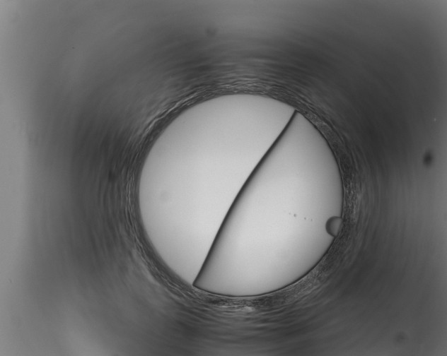 X0000116270747200911301016