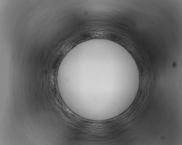 X0000116270749200911301016