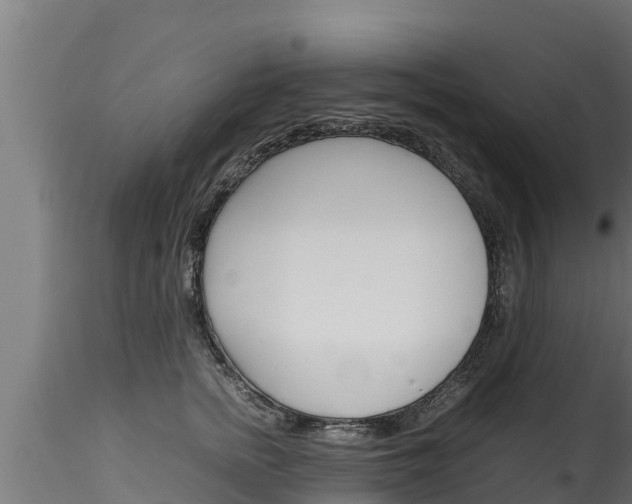 X0000116270758200911301016