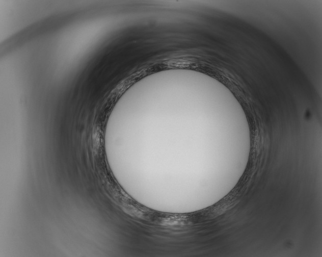 X0000116270761200911301016
