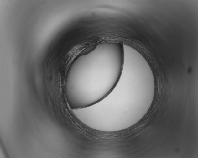 X0000116270762200911301016