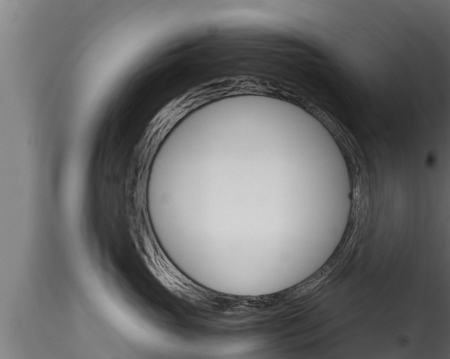 X0000116270765200911301016