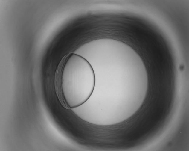 X0000116270766200911301016
