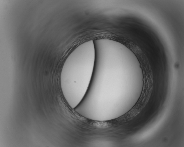 X0000116270767200911301016