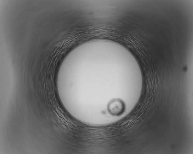 X0000116270769200911301016