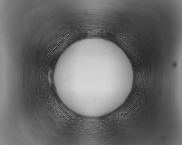 X0000116270770200911301016