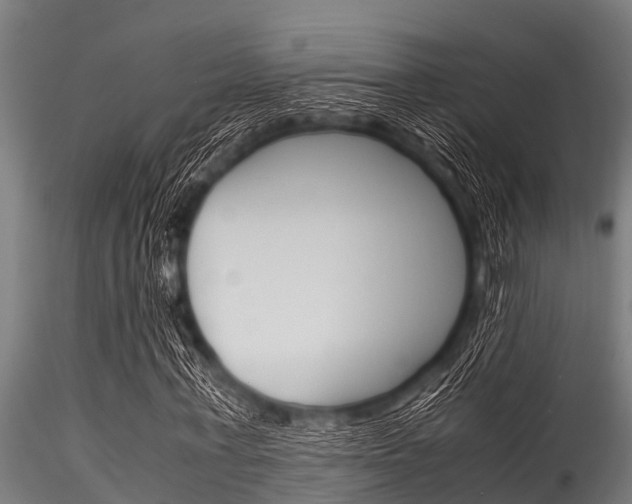 X0000116270771200911301016