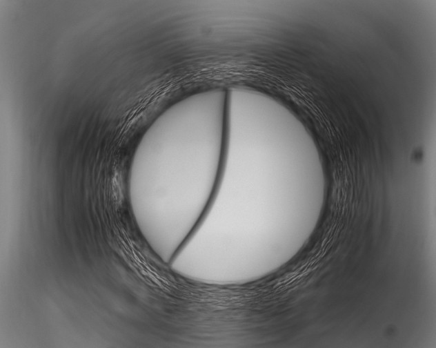 X0000116270772200911301016