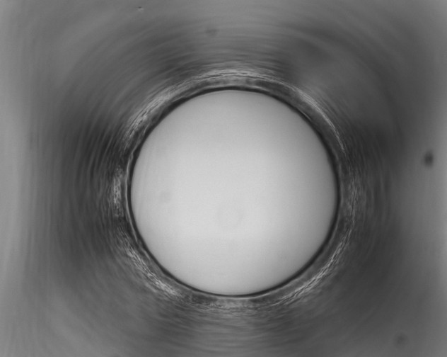 X0000116270778200911301016