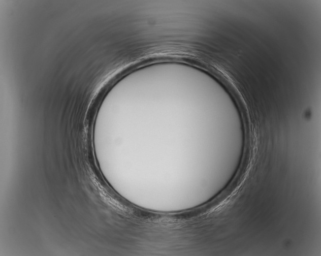 X0000116270779200911301016