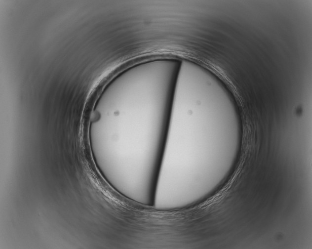 X0000116270780200911301016