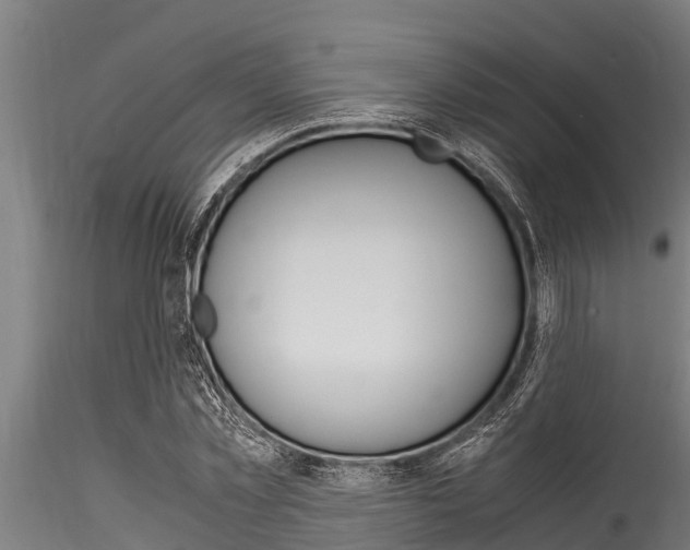 X0000116270781200911301016