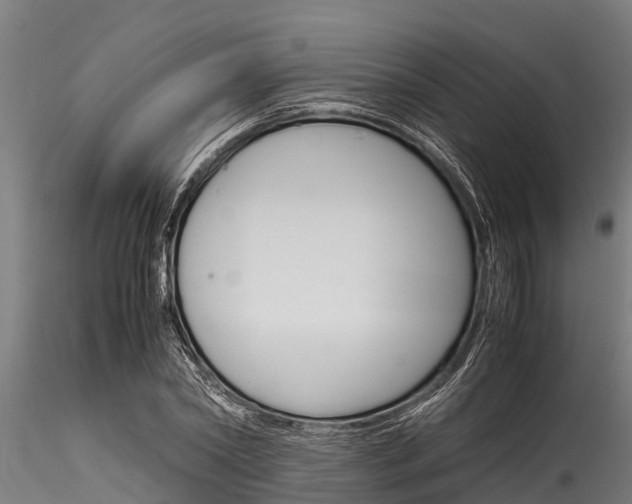 X0000116270782200911301016