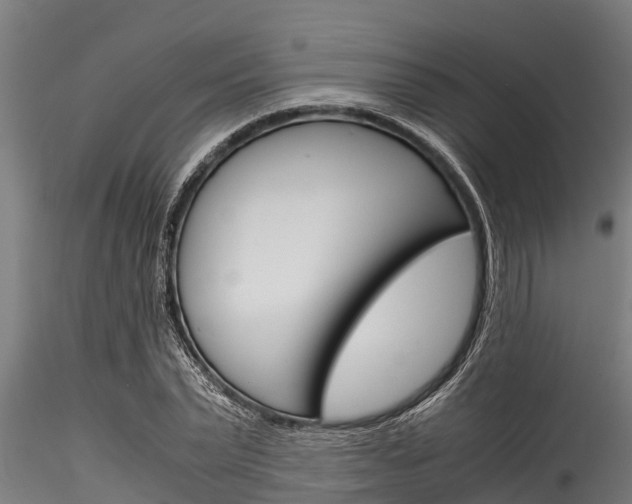 X0000116270783200911301015