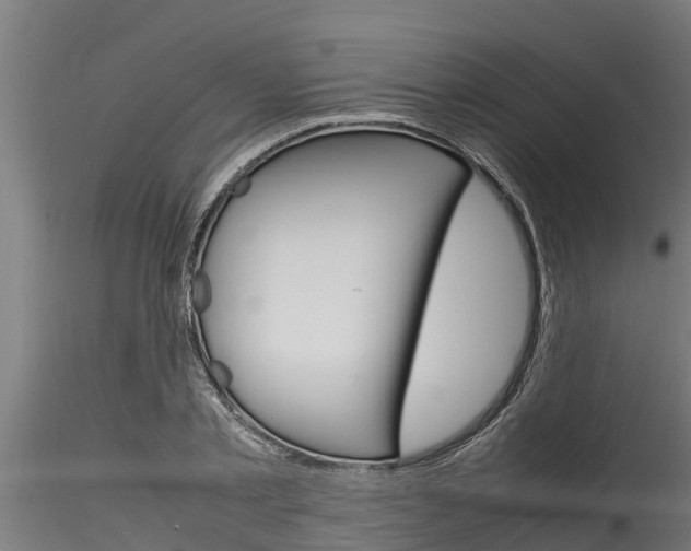 X0000116270789200911301015