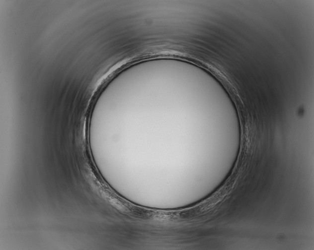 X0000116270790200911301015