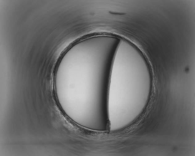 X0000116270791200911301015