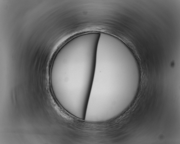 X0000116270792200911301015