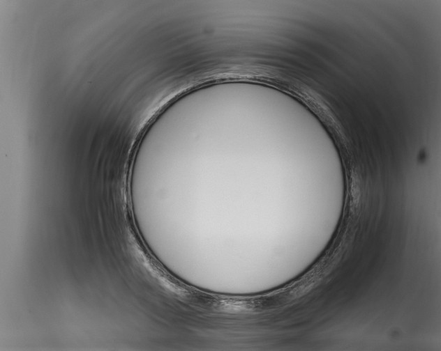 X0000116270794200911301015