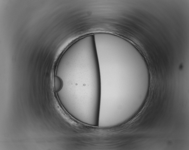 X0000116270796200911301015