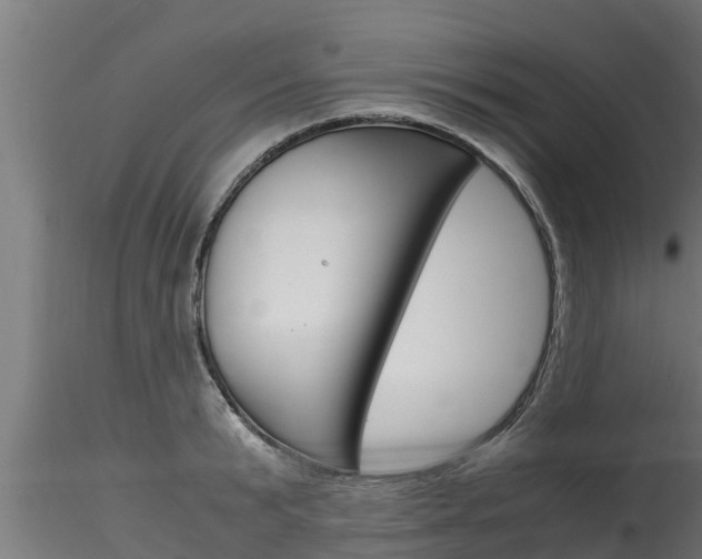 X0000116270799200911301015