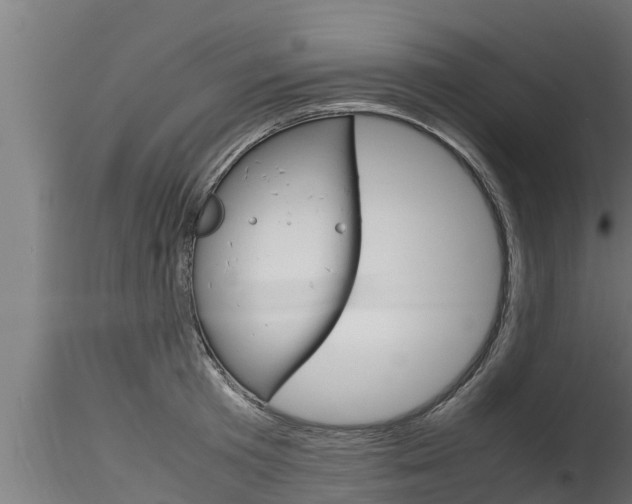 X0000116270801200911301015