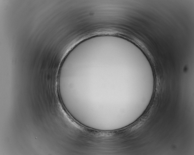 X0000116270802200911301015