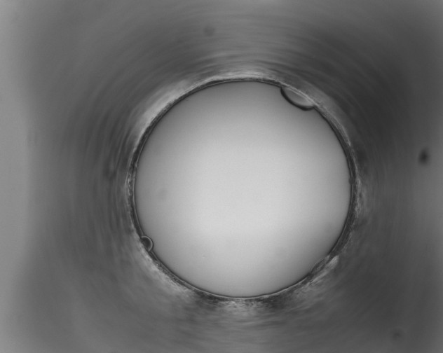 X0000116270805200911301015
