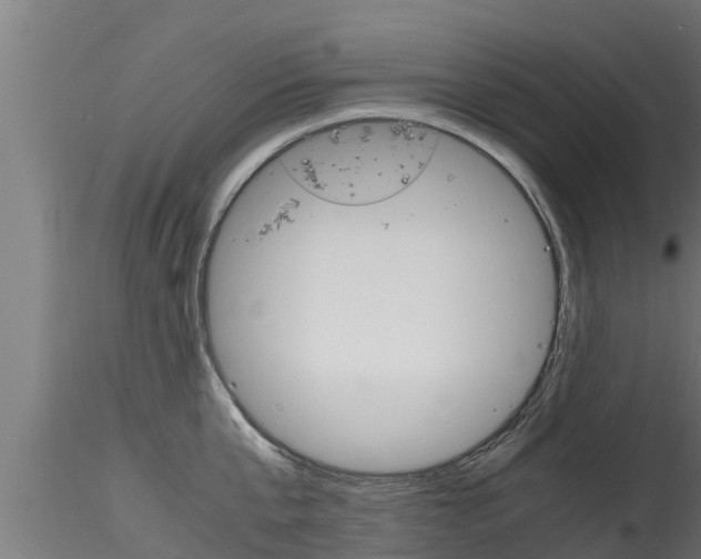 X0000116270807200911301015