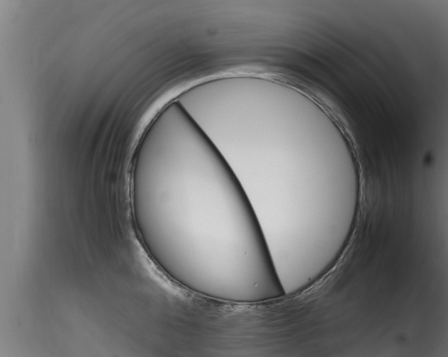 X0000116270808200911301015