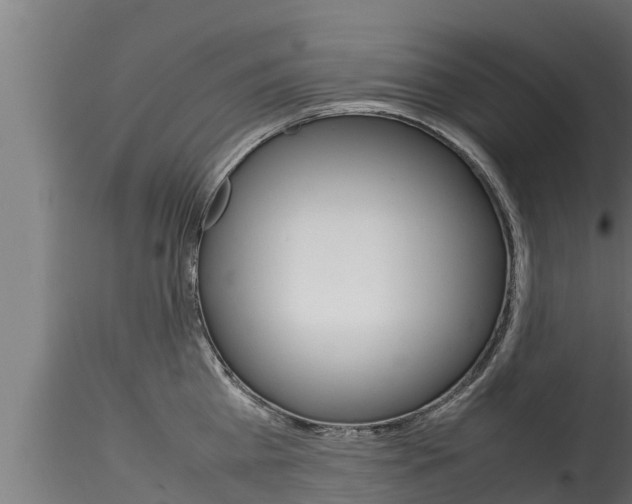 X0000116270809200911301015