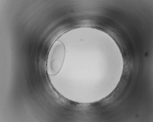 X0000116270810200911301015
