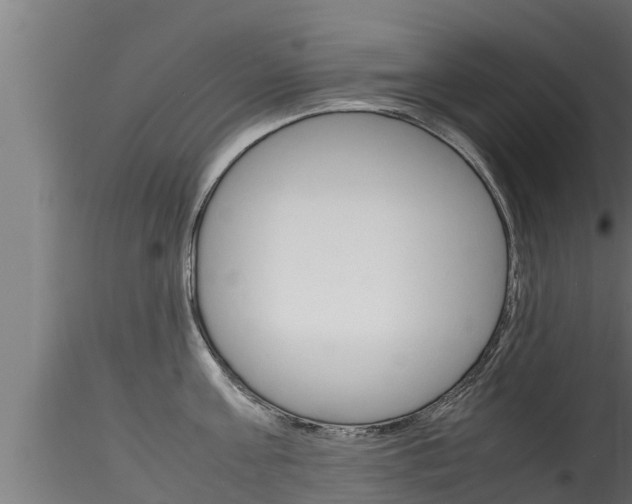 X0000116270811200911301015