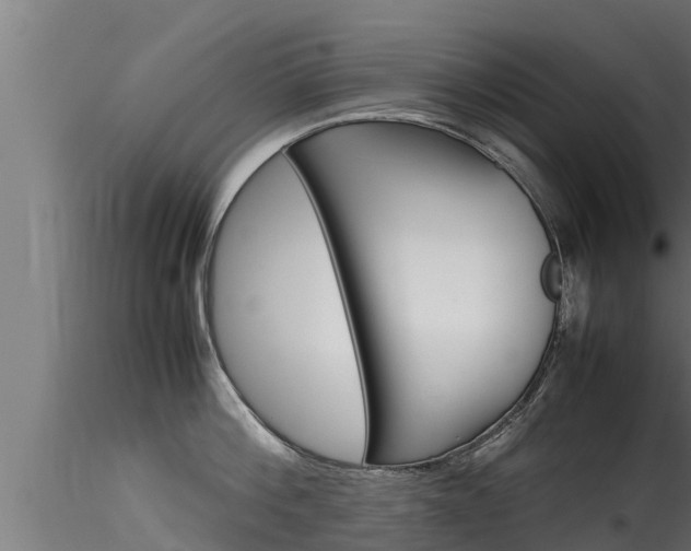 X0000116270812200911301015