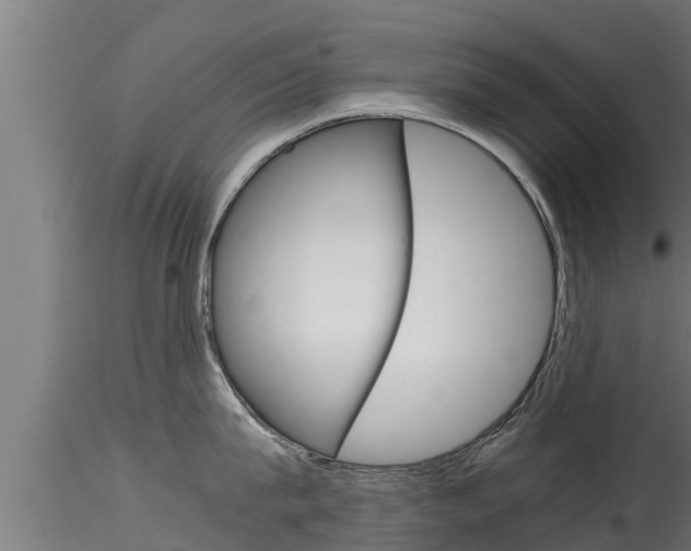 X0000116270815200911301015