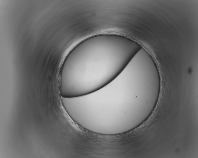 X0000116270816200911301015