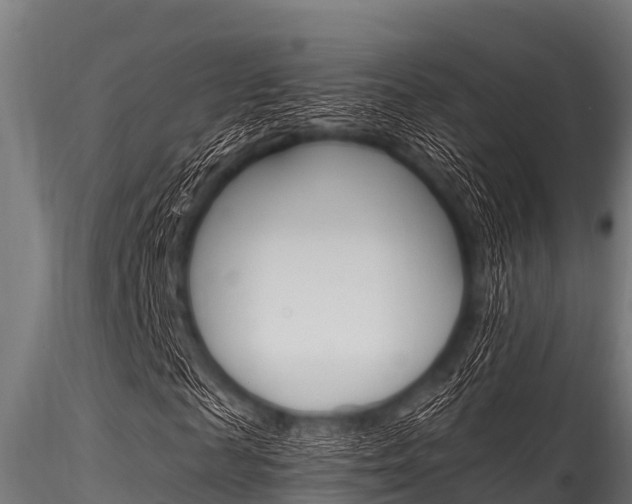 X0000116270817200911301014