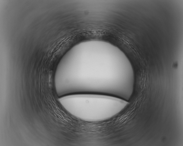 X0000116270818200911301014