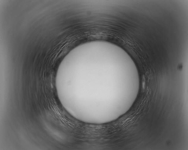 X0000116270819200911301014