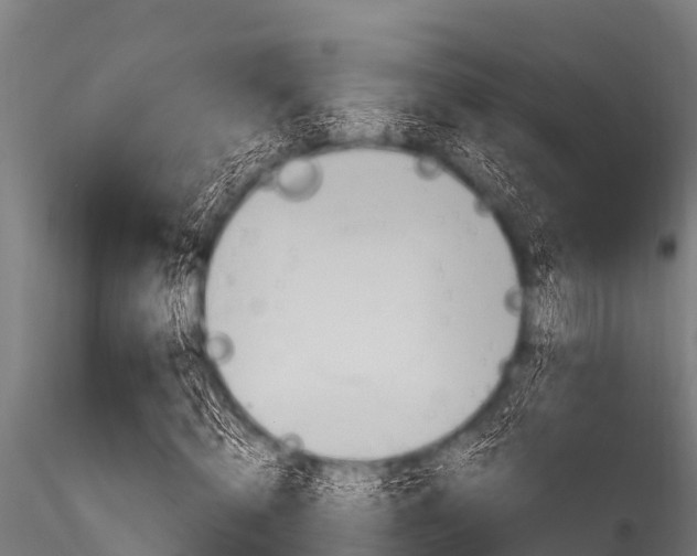 X0000116270820200911301014