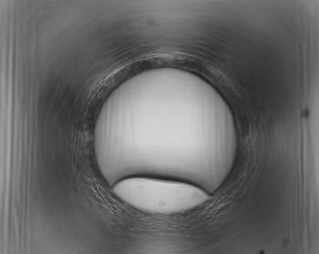 X0000116270822200911301014