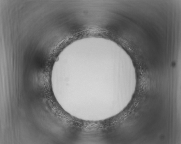 X0000116270824200911301014