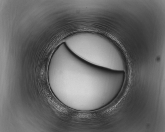 X0000116270825200911301014