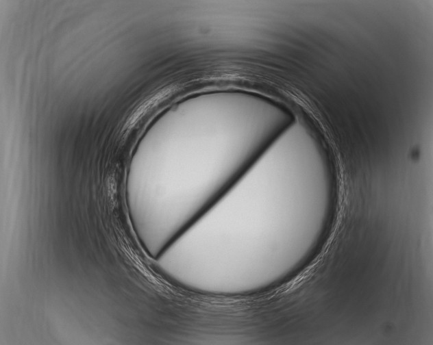 X0000116270826200911301014