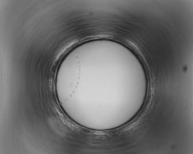 X0000116270827200911301014