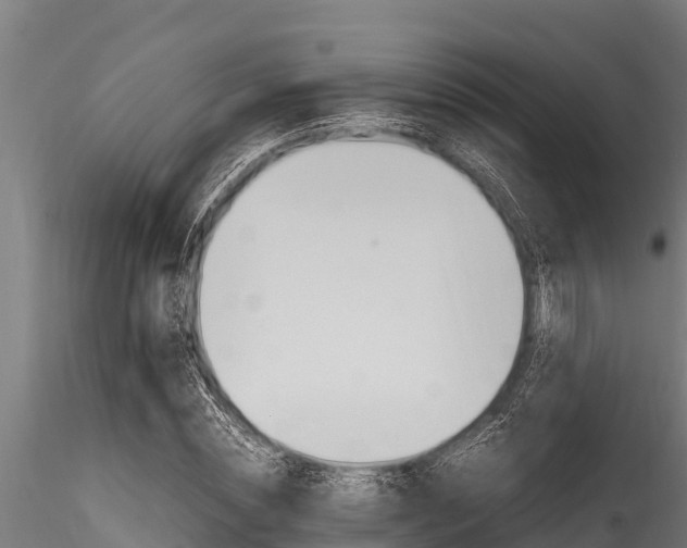 X0000116270828200911301014