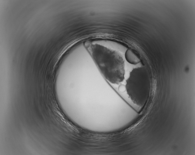 X0000116270829200911301014