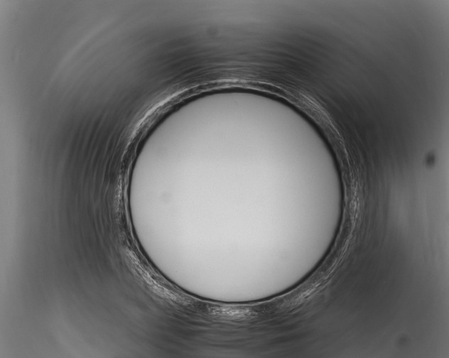 X0000116270831200911301014