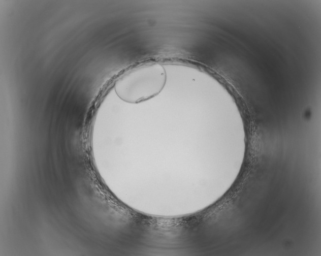 X0000116270832200911301014